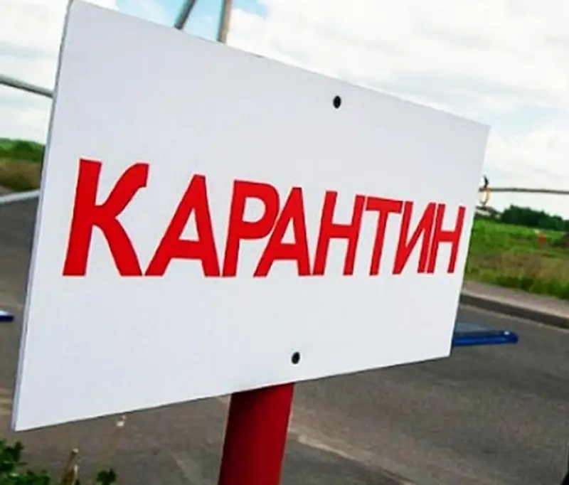 СҚО-да құс тұмауына байланысты 10 елдімекен карантинге жабылды  