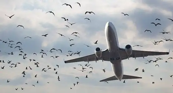 13 әуеайлағы салынбақ