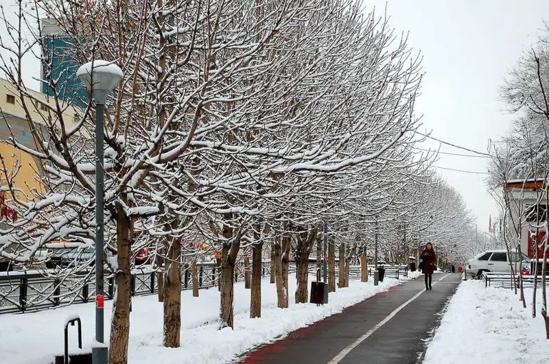 12 желтоқсанға арналған ауа райы болжамы