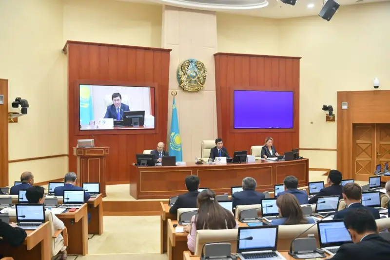 Мәжіліс бірқатар конституциялық заң жобаларын жұмысқа алды