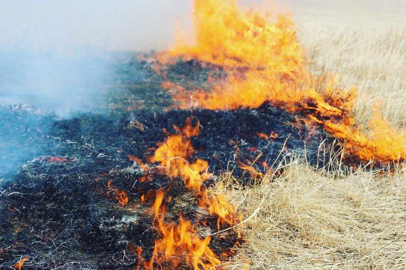 Қызылордада қураған шөп өртеніп, қаланың бірқатар бөлігін түтін басты (видео)