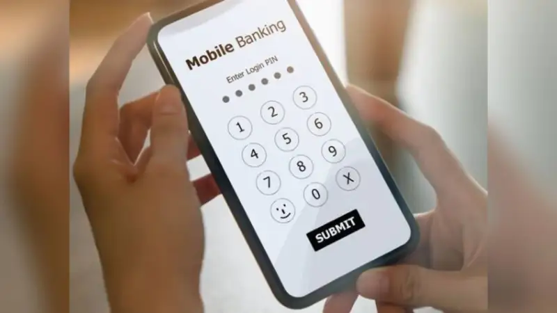 Шымкентте келін қайын атасының атына заңсыз несие рәсімдеген  