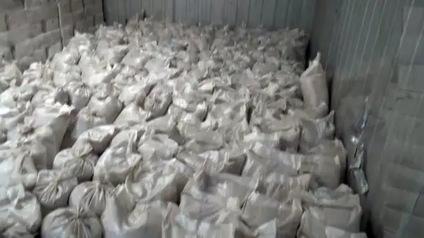 470 млн теңге болатын шаяндарды Қытайға алып өтпек болғандар сотталды