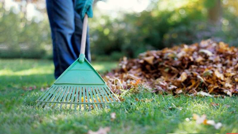 Алматыда Almaty Clean and Green жалпықалалық сенбілігі өтеді