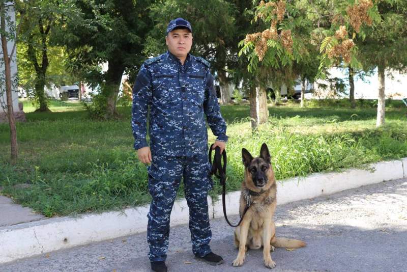 Шымкентте інісін өлтірген күдікті қызметтік иттің көмегімен дер кезінде ұсталды 