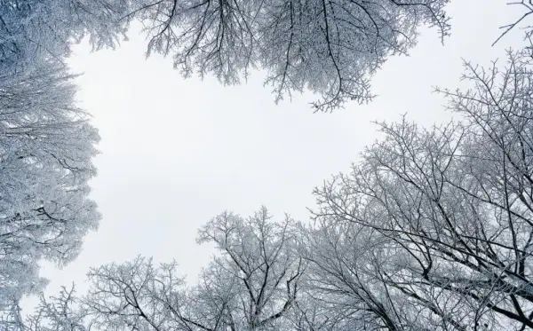 Тұман, 40 градус аяз: төрт облыста ескерту жарияланды