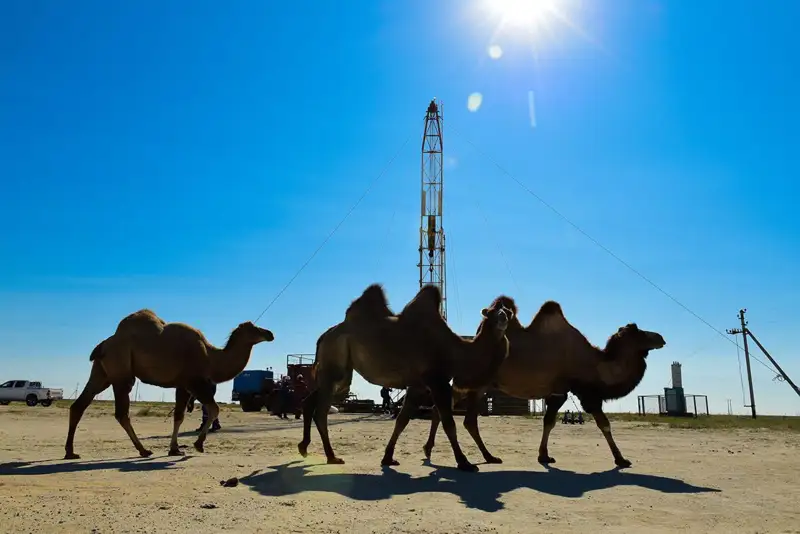 Жоғалған экономика