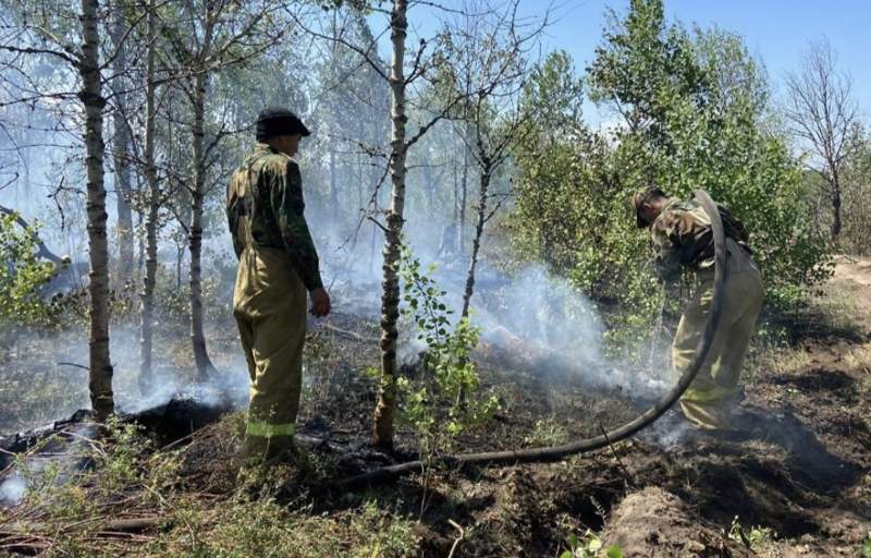 Жедел штаб: Абай облысында өрт сөндіру жұмыстары жалғасып жатыр