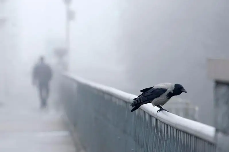 Ескерту жарияланды