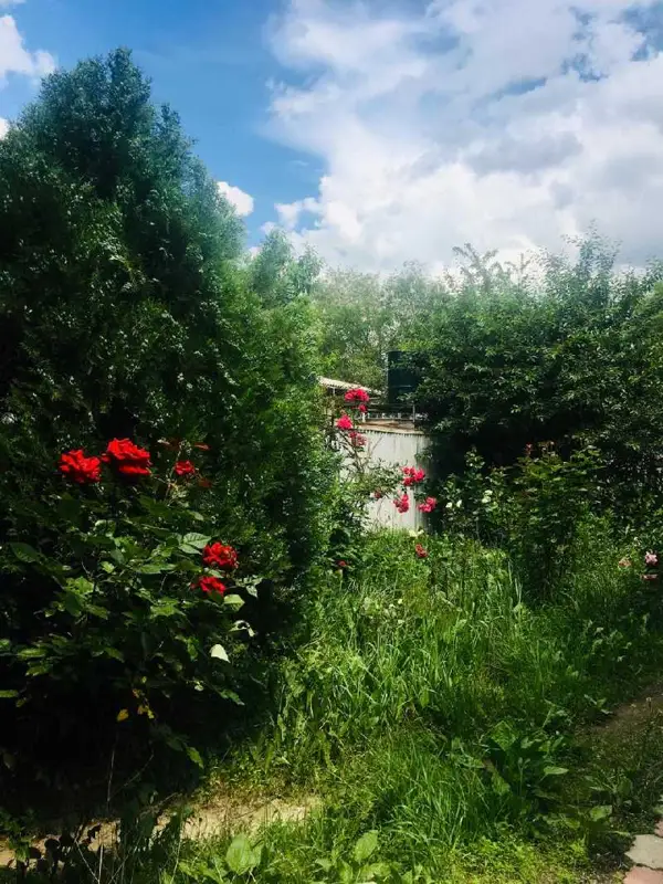 2 мыңнан астам алматылық саяжайына барды