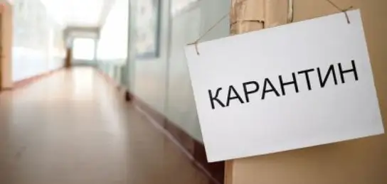 Шығыс Қазақстан облысында карантин 1 маусымға дейін созылды