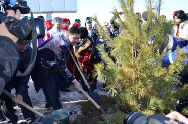 Көлгінов қызметкерлерін ағашпен қосып «отырғызбақ»