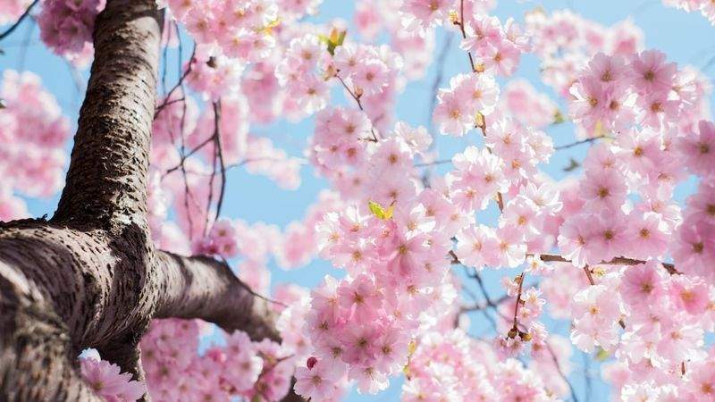 Демалыс және мейрам күндері күн күрт жылынады