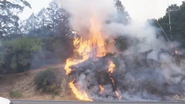 Калифорнияда орман өрті өршіп тұр