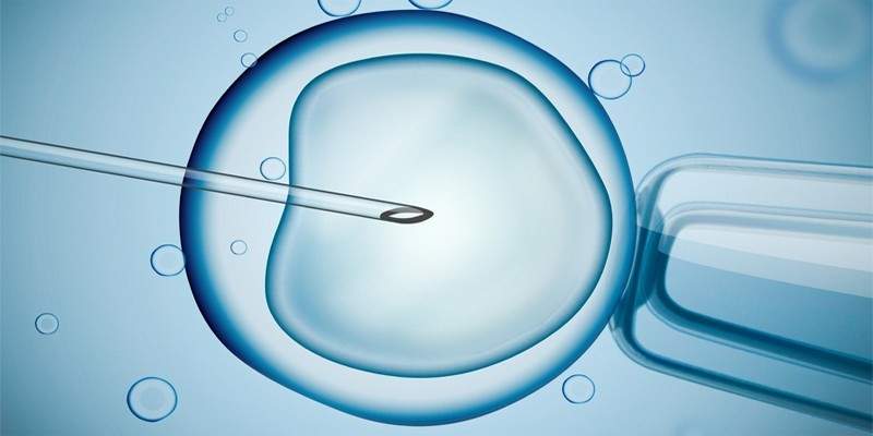 Жасанды жолмен ұрықтандыруға бөлінетін квота жеті есеге өсті