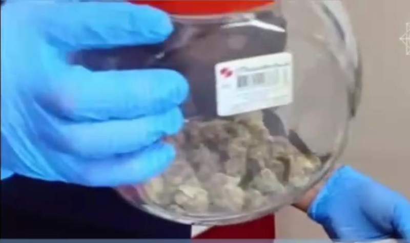 Алматыда ірі көлемде есірткі заттарының контрабандасы әшкереленді