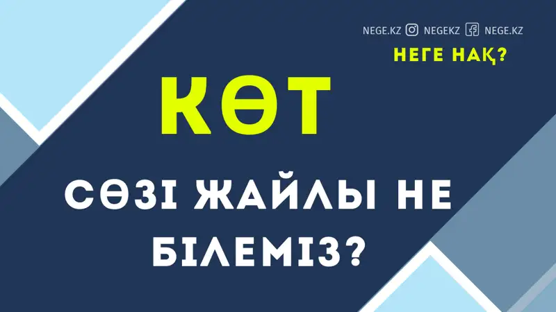 Қазақ ССР Ғылым академиясы «көт» жайлы көп жазыпты | Неге нақ! 