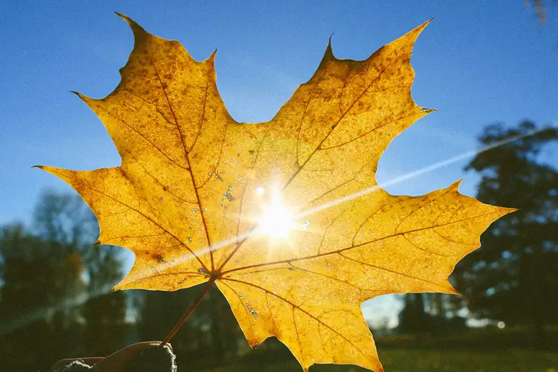 Алдағы уақытта күн жылиды