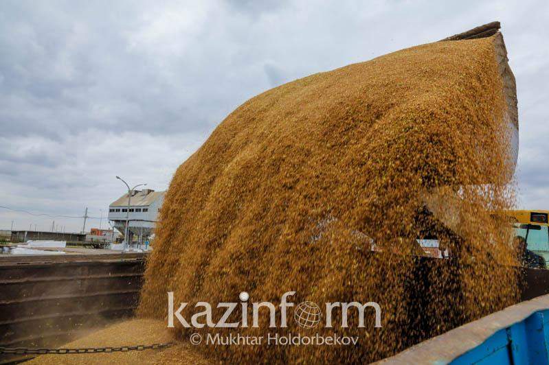 18,2 млн тонна астық бастырылды