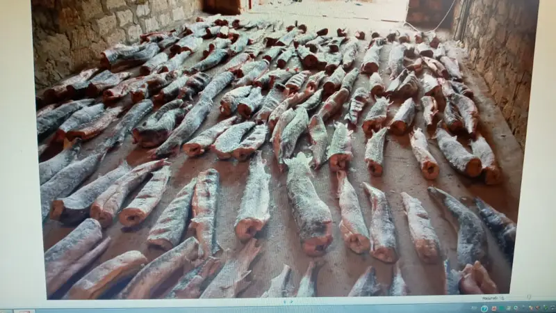 Маңғыстау облысында НЕГЕ браконьерлік көп тіркеледі?