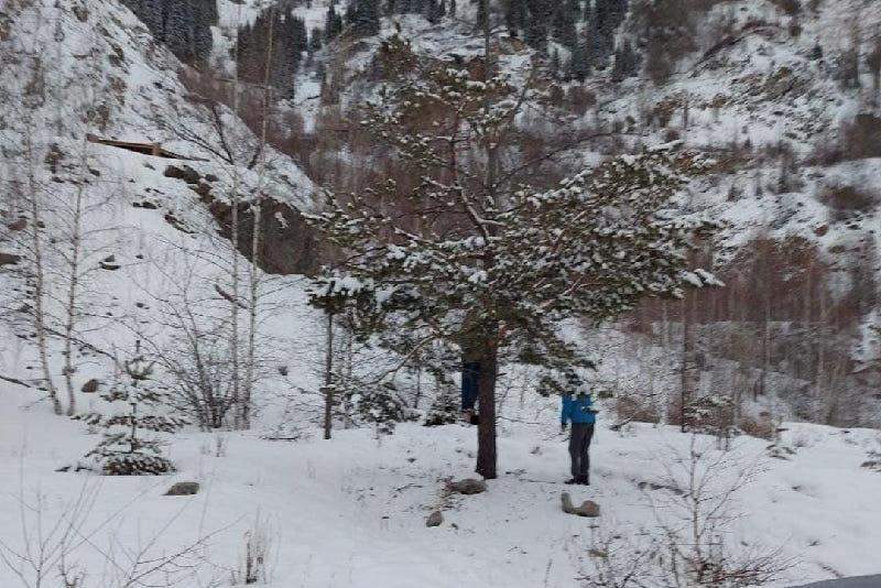 Алматы тауларында әйелдің өлі денесі табылды 