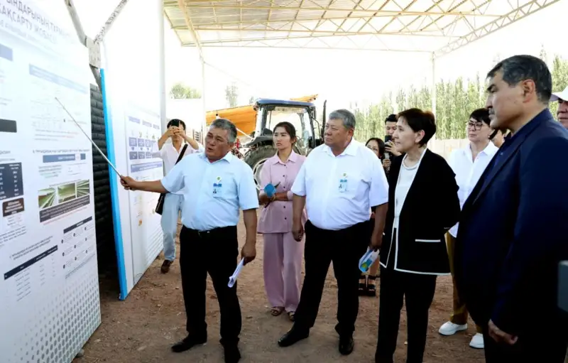 Пилоттық жобалар ауыл халқының табысын арттырады