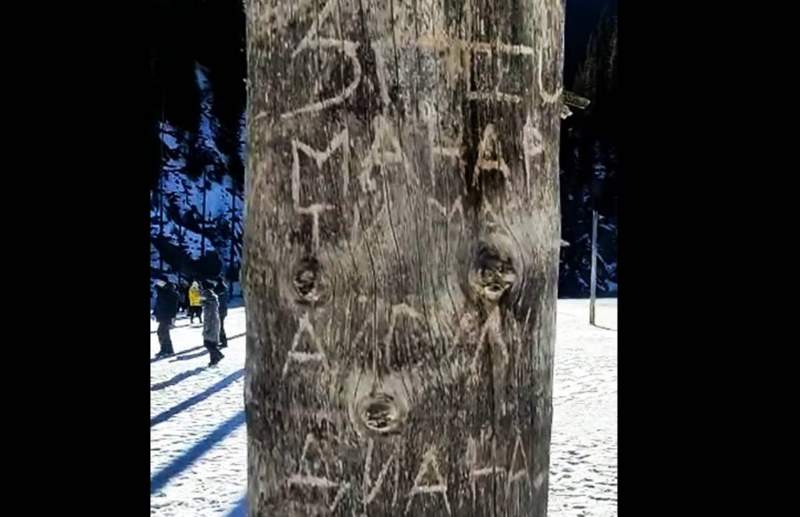 Туристер Қайыңды көліндегі шыршалардың діңіне сурет салған