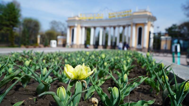 «Сәуір болмай, тәуір болмас». Фоторепортаж