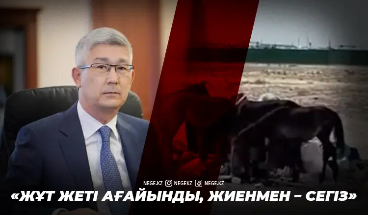 «Трұмовтың түйелері картонды сүйіп жейді екен...»