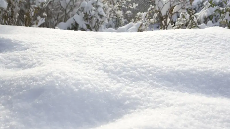 Көкшетау мен Қостанайда қар жауды (видео)