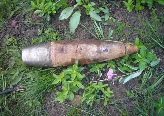 Қорғаныс министрлігі: Өз бетінше әрекет жасамауды сұраймыз