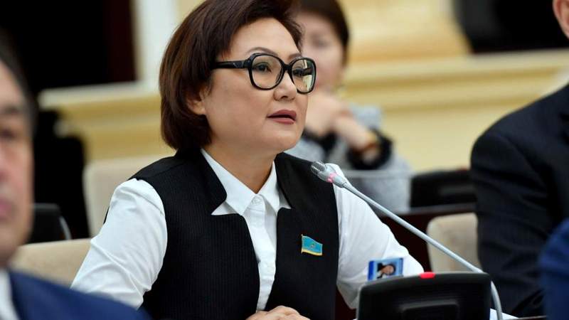 Сенатор Дана Нұржігіт еуропалық парламенттің қарары туралы: Бұл – асығыс шешім