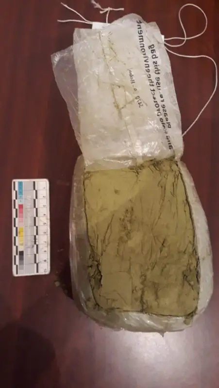 Шу тұрғыны көлігімен есірткі тасыған 