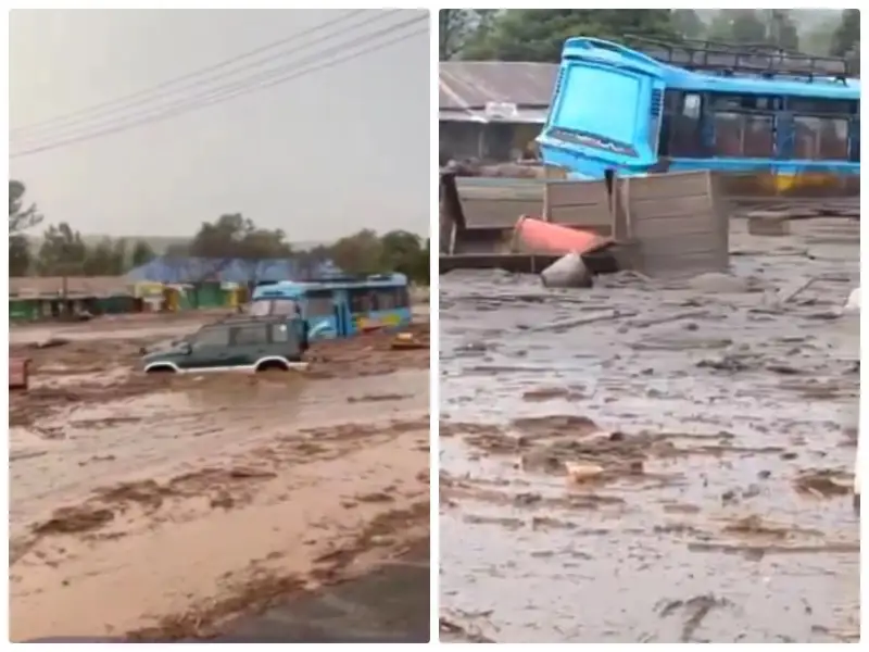 Танзанияда лай көшкінінен тұрғындар қаза тапты 