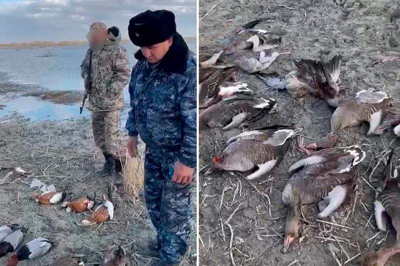 Браконьерлерден 26 құстың еті тәркіленді