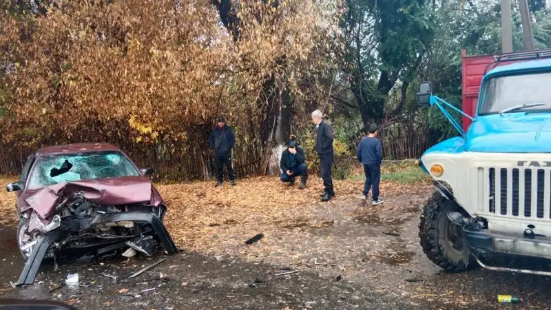 Жетісу облысында жол апатынан тоғыз адам зардап шекті, оның төртеуі - бала 