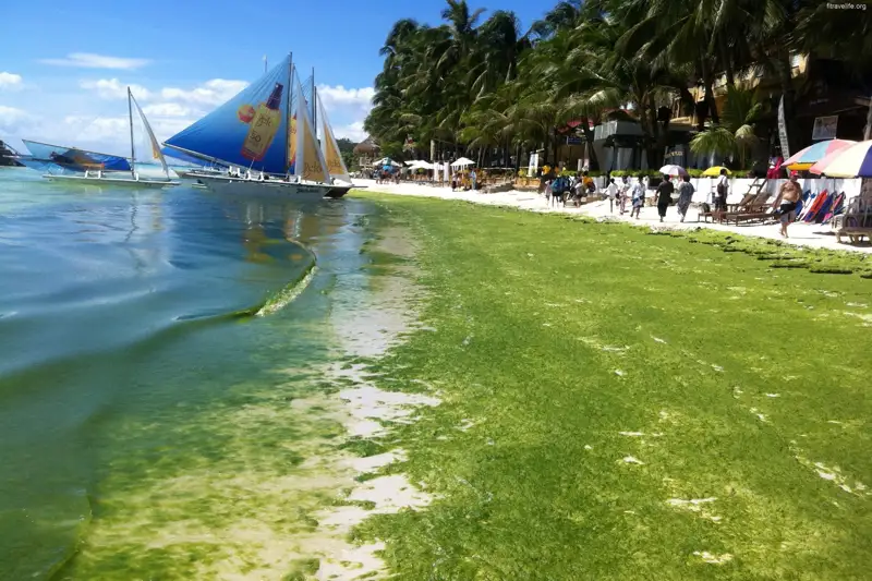 Екі қазақстандық турист Филиппинде қалып қойды