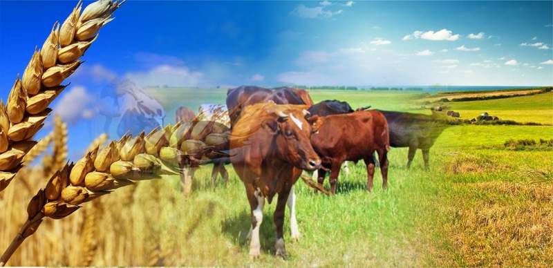 2025 жылға дейін «қуатты өңірлер» көбейе ме?