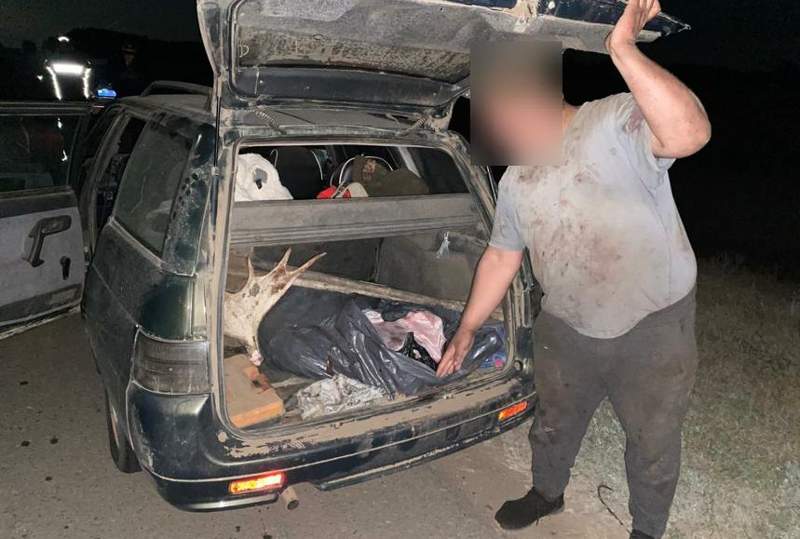 Павлодар облысында заңсыз бұлан аулау фактісі анықталды