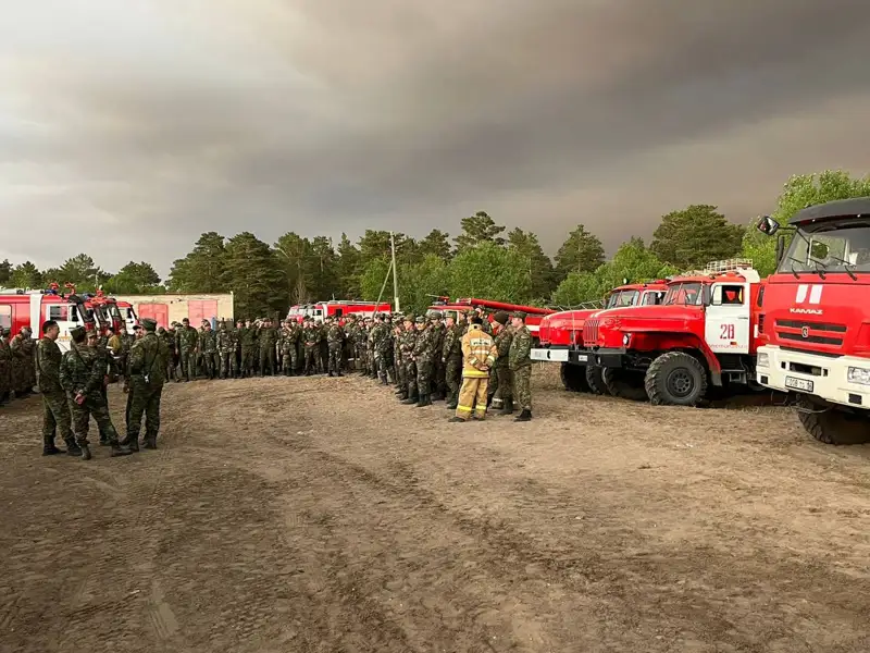 ТЖМ Абай облысындағы өртті сөндіру бойынша жаңа деректерді жариялады