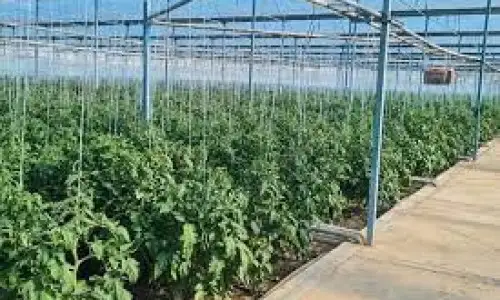 Агроөнеркәсіптік кешенді үдеден шығара алдық па?