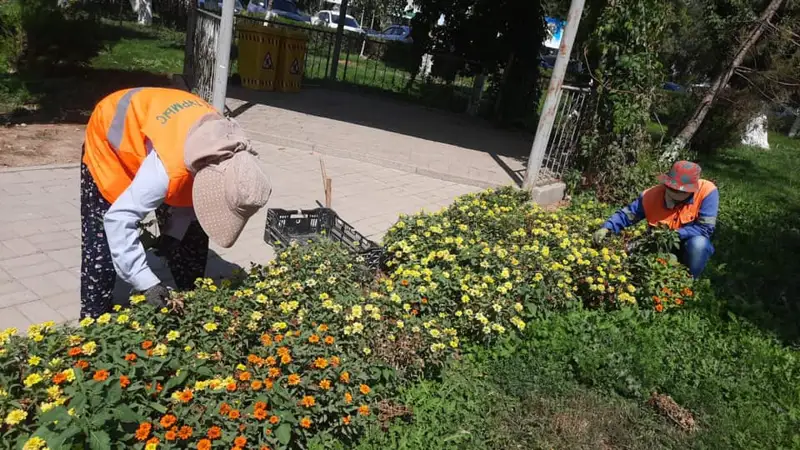 Жасыл желектерді күтіп ұстау тұрақты түрде жүргізіледі