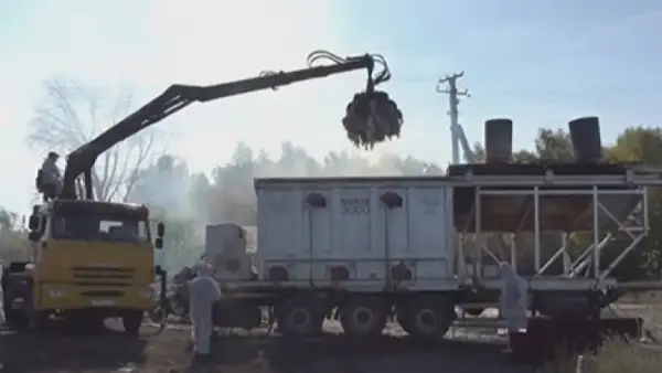 Жапонияда құс тұмауы өршіп тұр