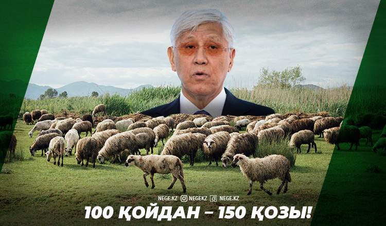 Қыжыртпа. Баталов – бас шопан