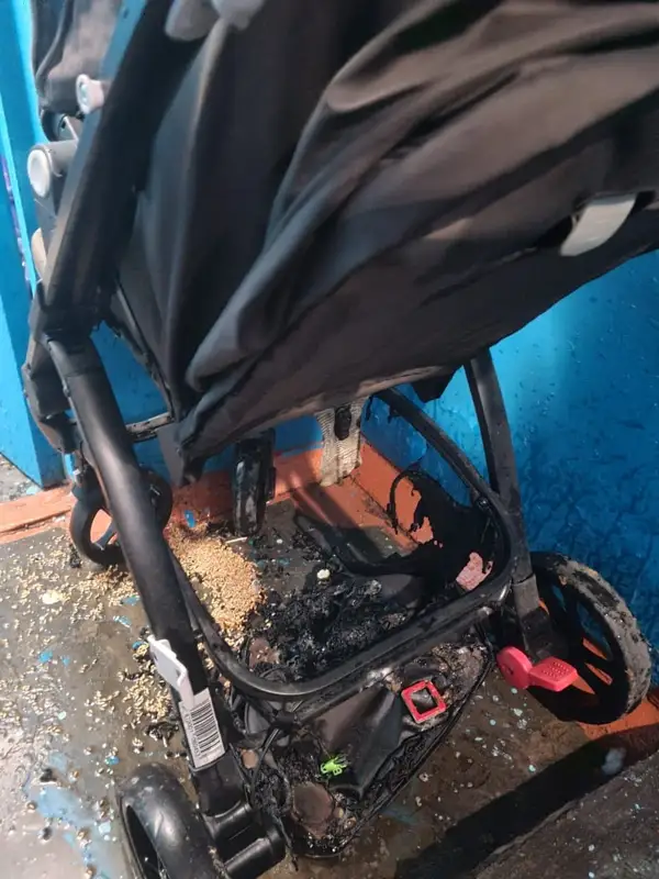 Депутат Бақытжан Базарбектің баласының арбасын өртеп жіберді деген күдікті ұсталды