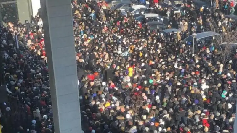 Бұл не қылған батпан құйрық... Тегінге НЕГЕ құмармыз?