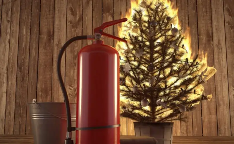 Бас шыршаны өртеген азамат 16 млн теңге төлейді