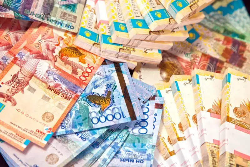Әкімдерін сайлауын өткізуге қанша қаржы жұмсалады?