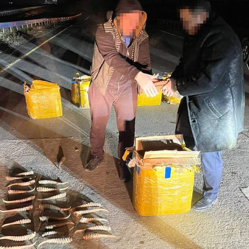 ҰҚК Шекара қызметі киік мүйізін тасымалдаған 5 адамды ұстады