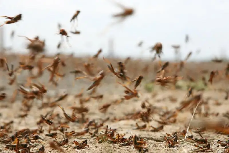 Шегірткемен күреске 1,5 млрд теңге қарастырылған